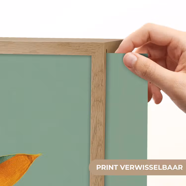 Lightbox - Wandlamp - Bladeren - Tak - Kleurrijk — 5