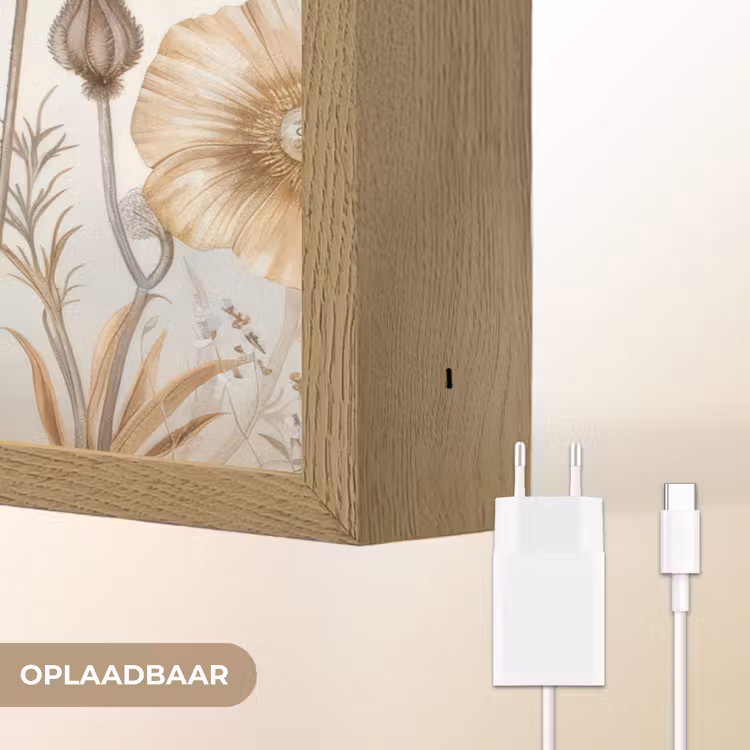 Lightbox - Wandlamp - Bloemen - Beige - Natuur - Illustratie — 7