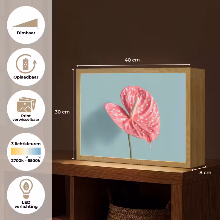 Lightbox - Wandlamp - Blad - Anthurium - Stippen - Roze — 10