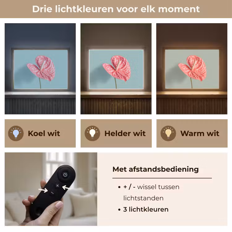 Lightbox - Wandlamp - Blad - Anthurium - Stippen - Roze — 8