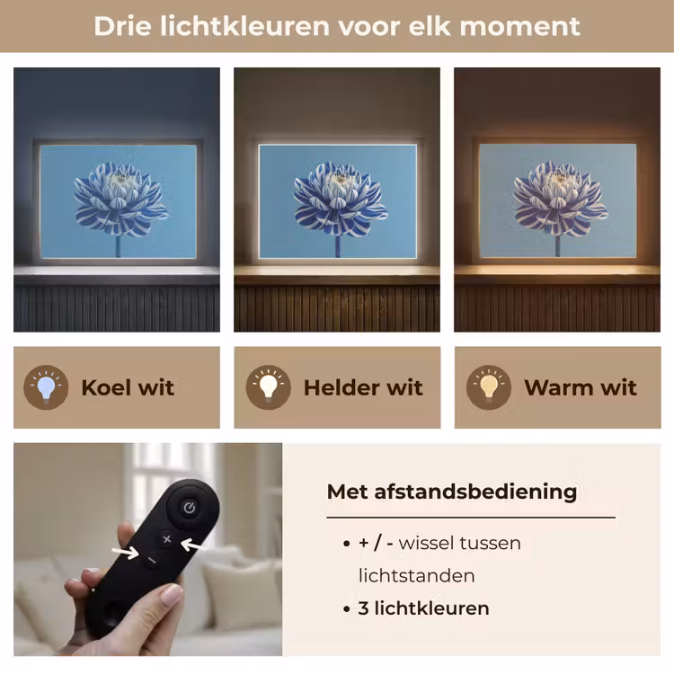 Lightbox - Wandlamp - Bloem - Blauw - Bloemblaadjes - Streepjes — 8