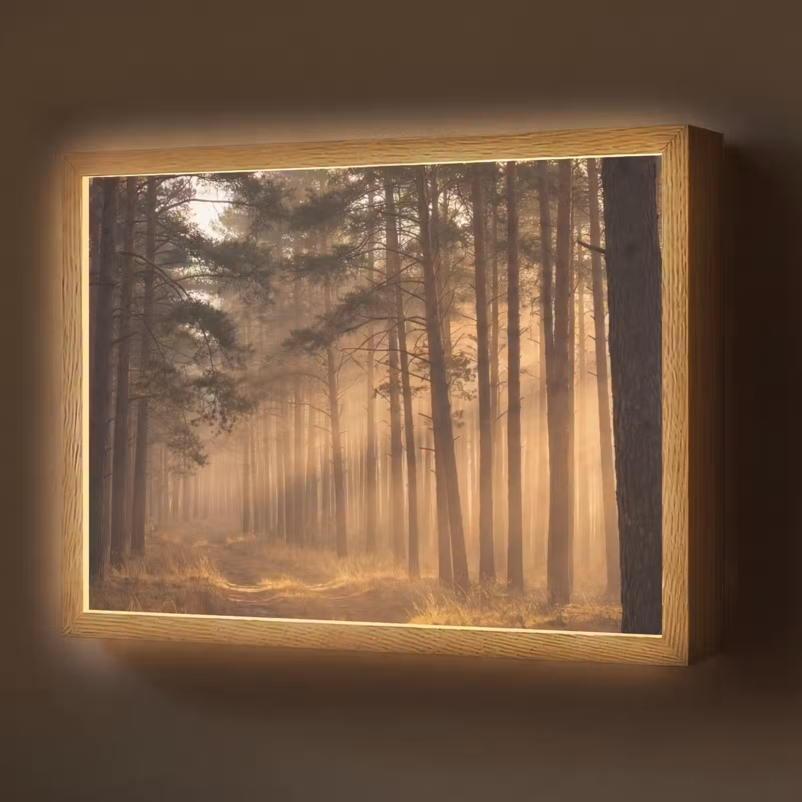 Lightbox - Wandlamp - Bos - Mist - Zonlicht — 1