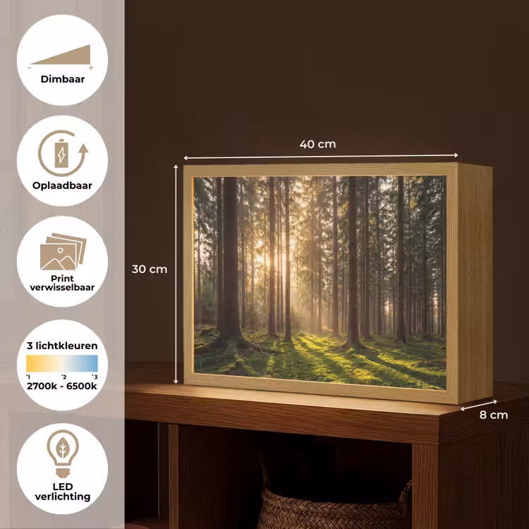 Lightbox - Wandlamp - Bos - Gras - Zonlicht — 10