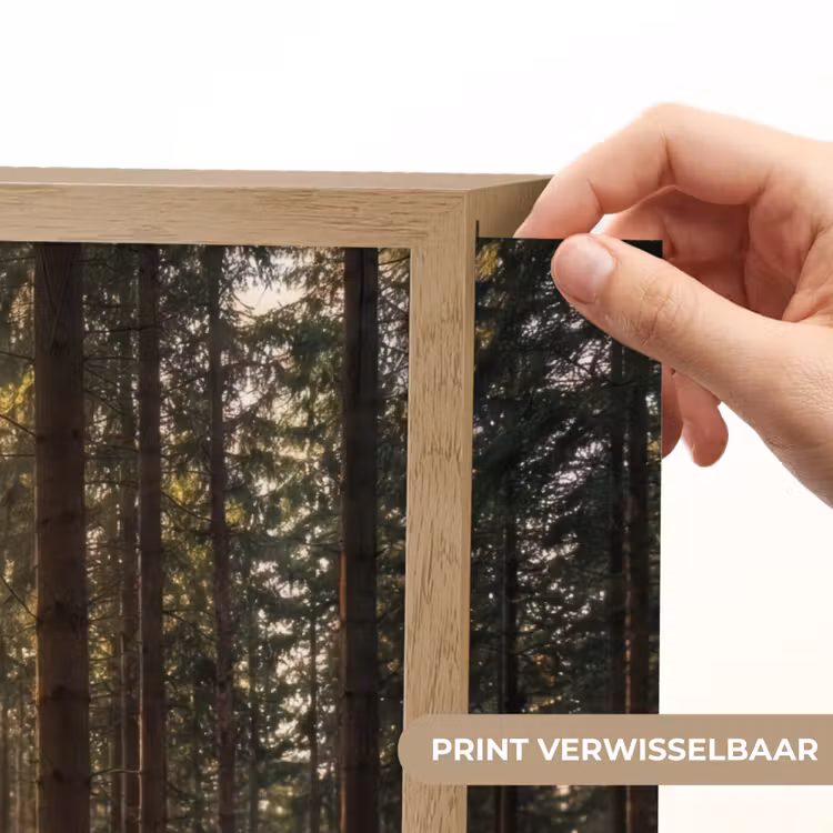 Lightbox - Wandlamp - Bos - Gras - Zonlicht — 5