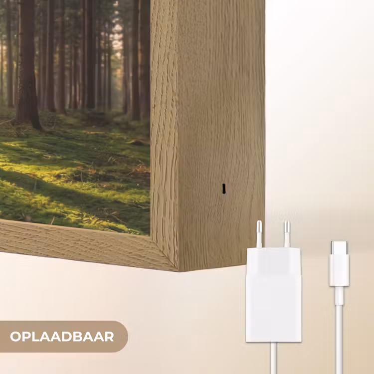 Lightbox - Wandlamp - Bos - Gras - Zonlicht — 7