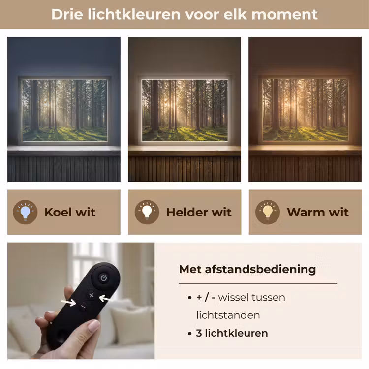 Lightbox - Wandlamp - Bos - Gras - Zonlicht — 8