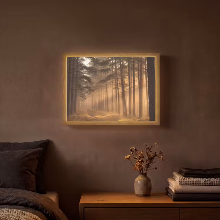 Lightbox - Wandlamp - Bos - Mist - Zonlicht — 3