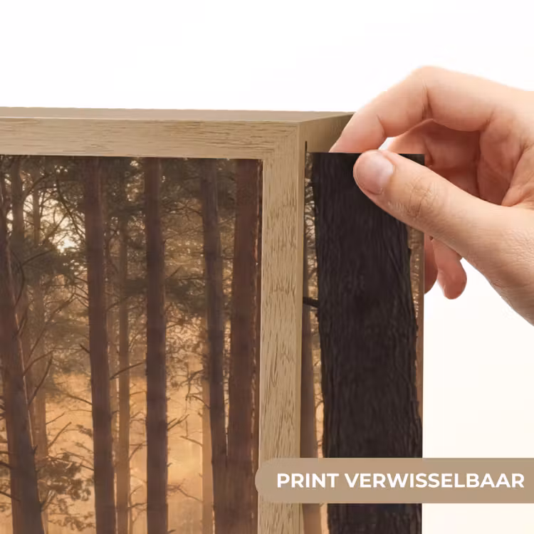 Lightbox - Wandlamp - Bos - Mist - Zonlicht — 5
