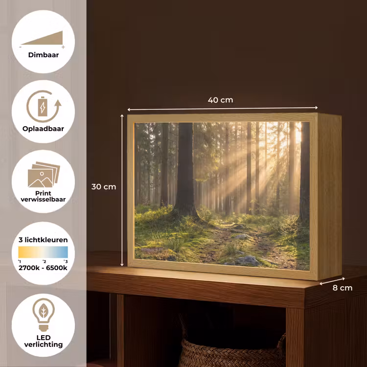 Lightbox - Wandlamp - Bos - Zonlicht - Gras — 10