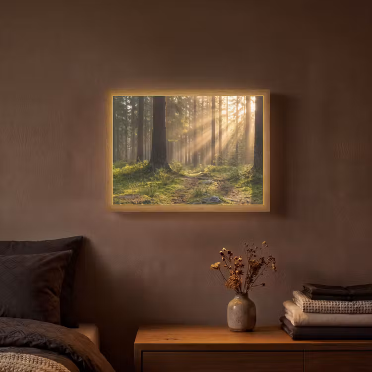 Lightbox - Wandlamp - Bos - Zonlicht - Gras — 3