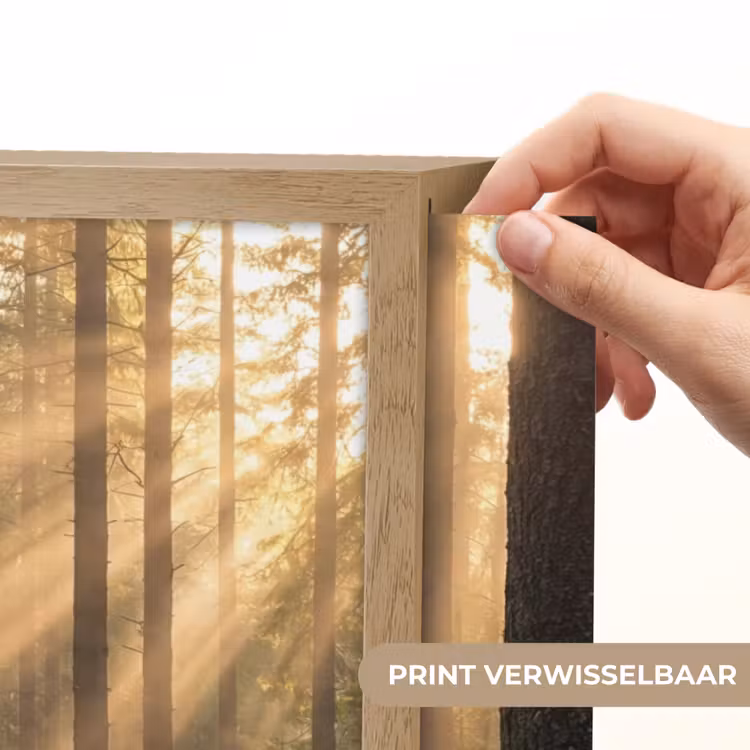 Lightbox - Wandlamp - Bos - Zonlicht - Gras — 5