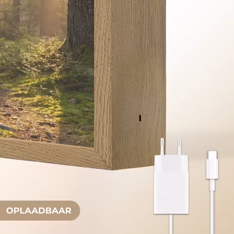 Lightbox - Wandlamp - Bos - Zonlicht - Gras — 7
