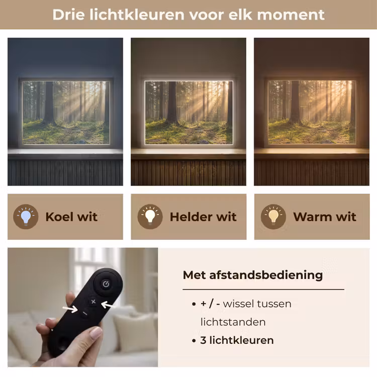 Lightbox - Wandlamp - Bos - Zonlicht - Gras — 8