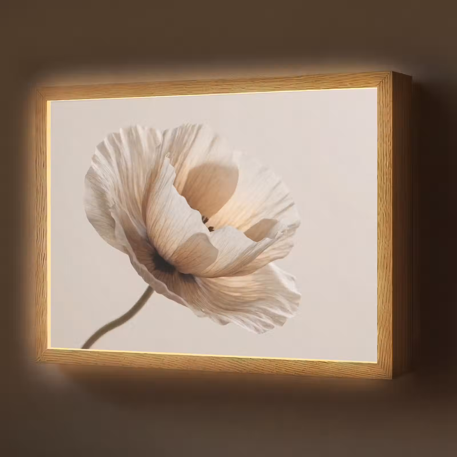 Lightbox - Wandlamp - Bloem - Beige - Crème — 1