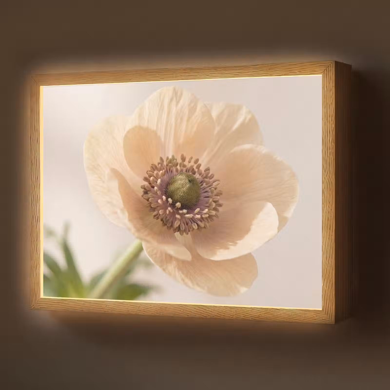 Lightbox - Wandlamp - Bloem - Minimalistisch - Groen — 1
