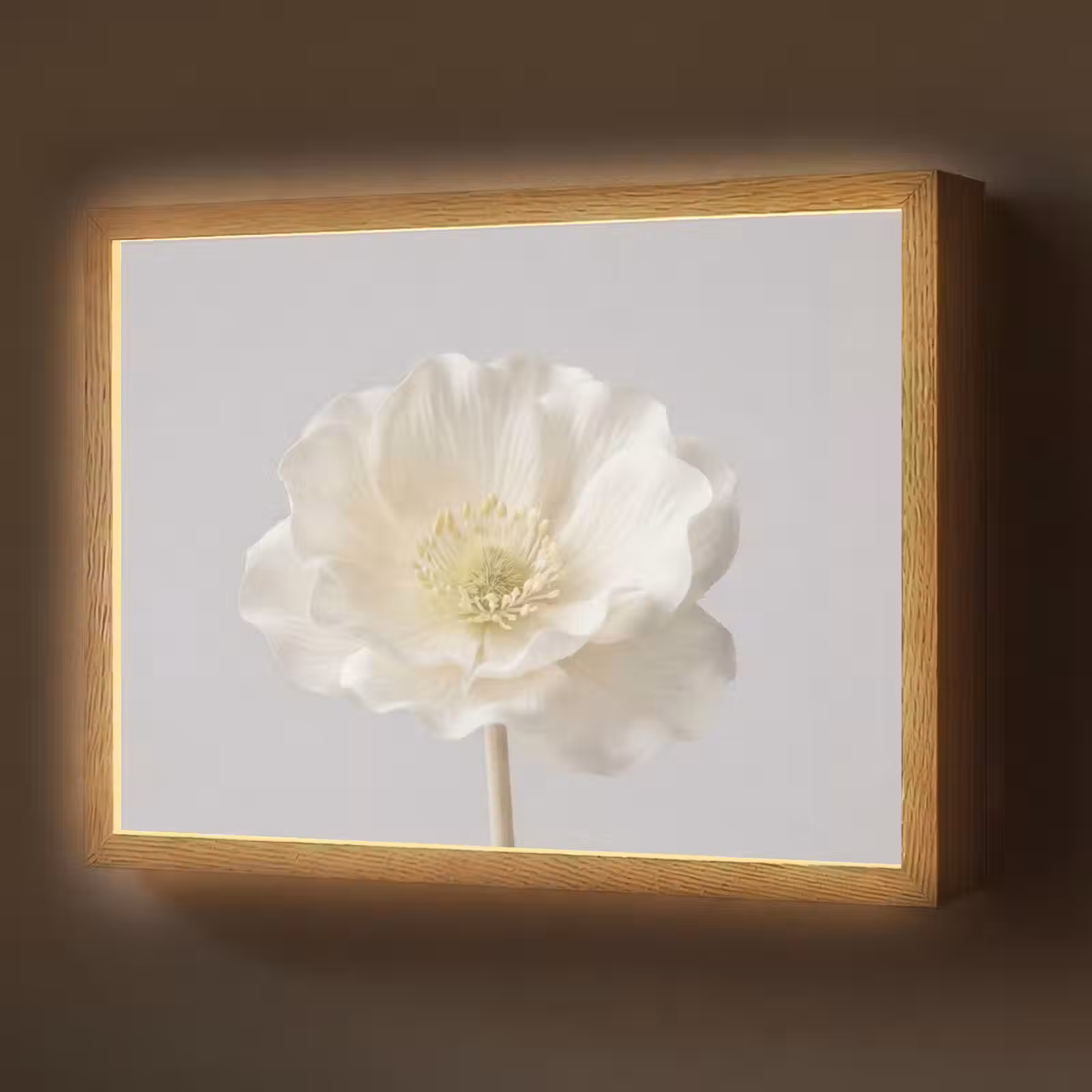 Lightbox - Wandlamp - Bloem - Minimalistisch -Wit — 1