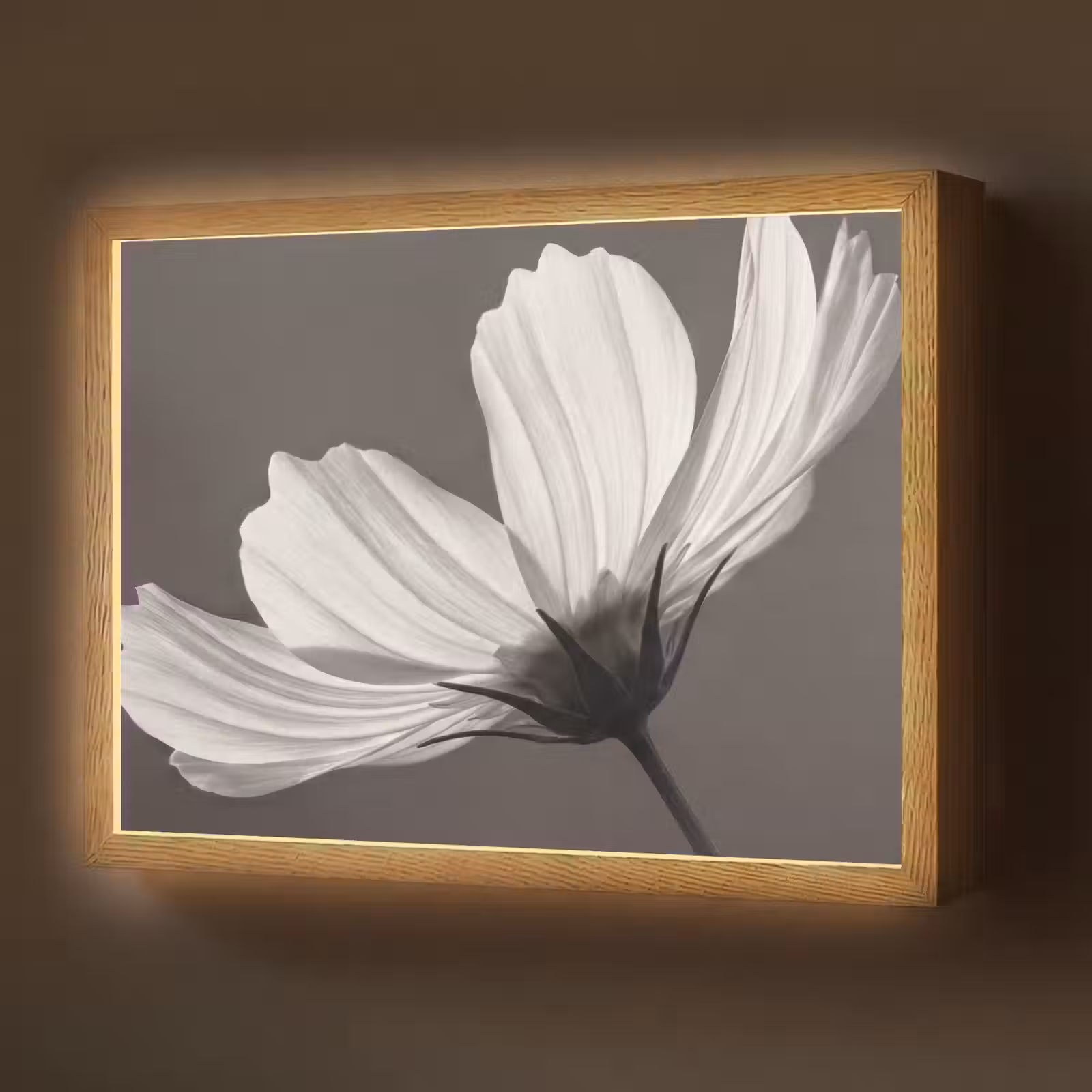 Lightbox - Wandlamp - Bloem - Minimalistisch - Zwart - Wit — 1