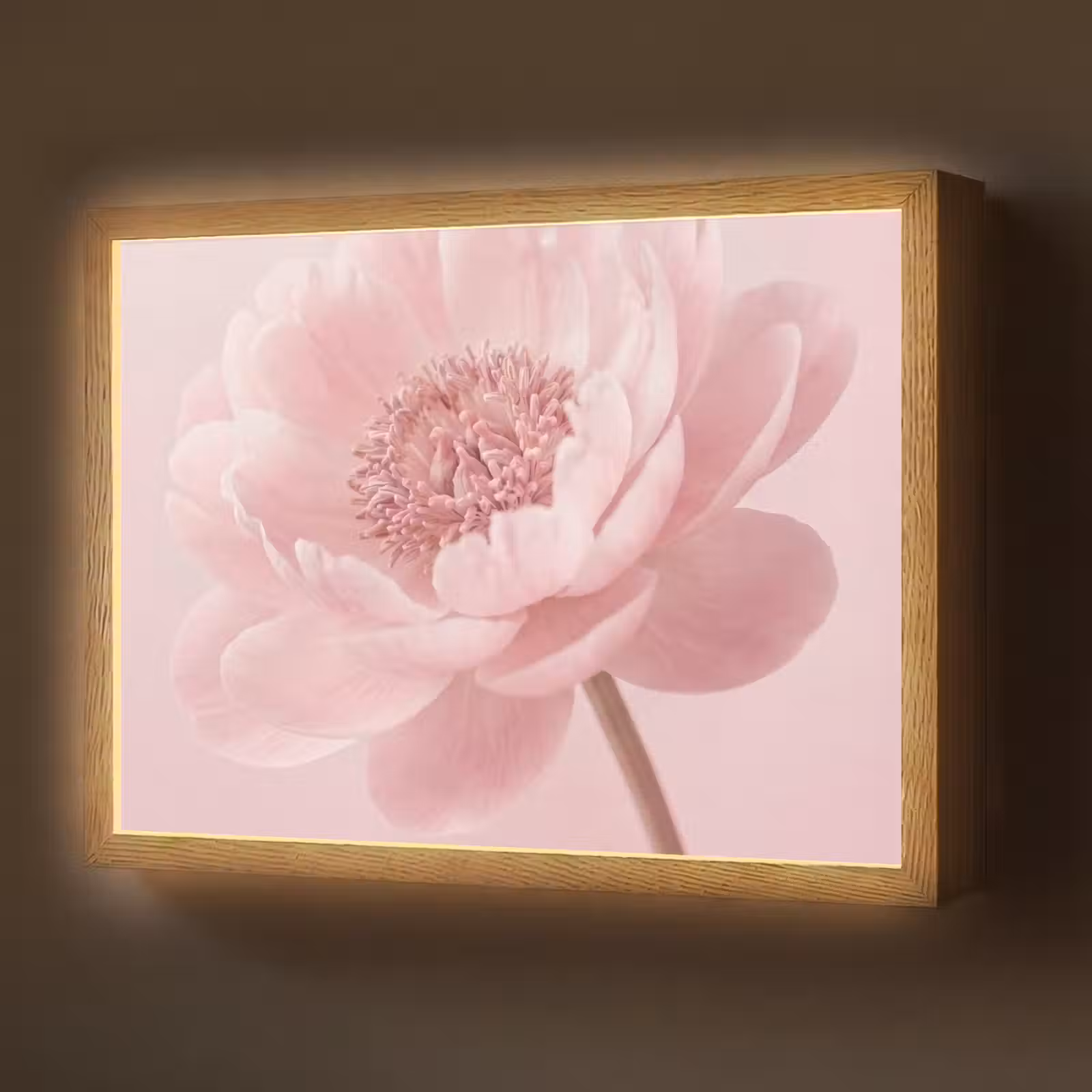 Lightbox - Wandlamp - Bloem - Pioenroos - Roze — 1