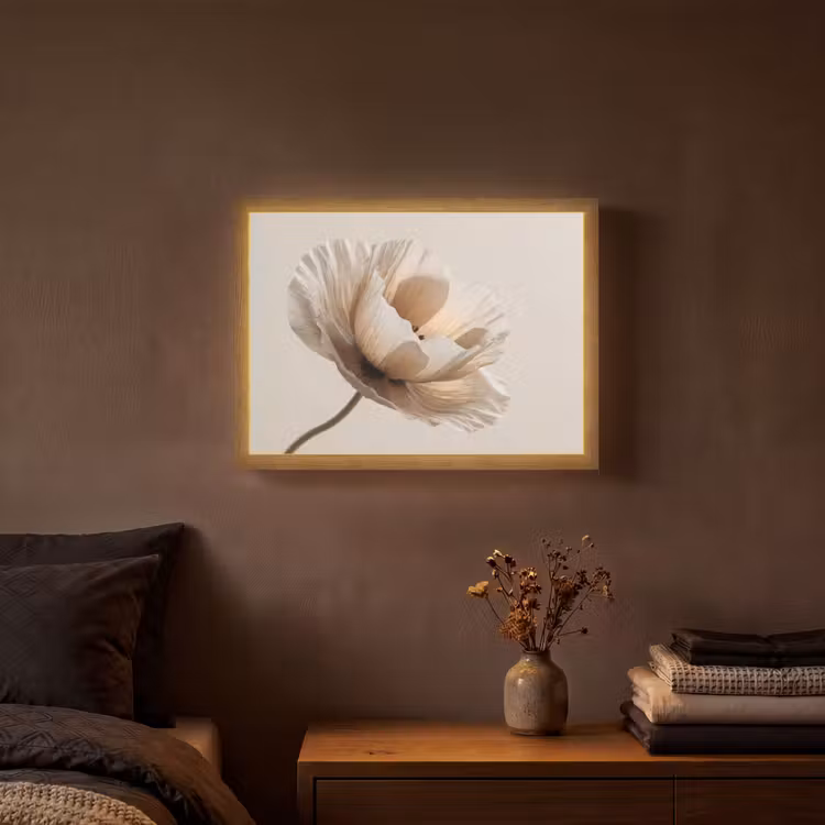 Lightbox - Wandlamp - Bloem - Beige - Crème — 3