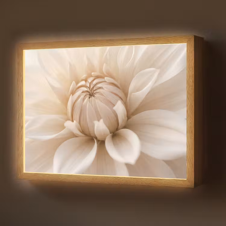 Lightbox - Wandlamp - Bloem - Dahlia - Wit — 1