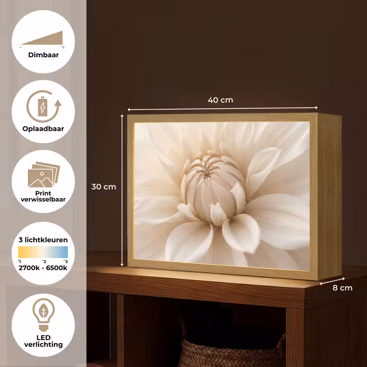 Lightbox - Wandlamp - Bloem - Dahlia - Wit — 10