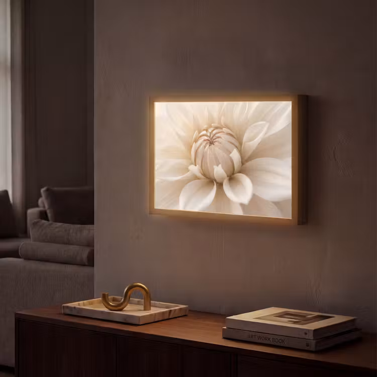 Lightbox - Wandlamp - Bloem - Dahlia - Wit — 2