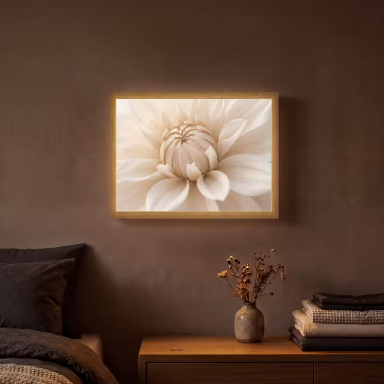 Lightbox - Wandlamp - Bloem - Dahlia - Wit — 3