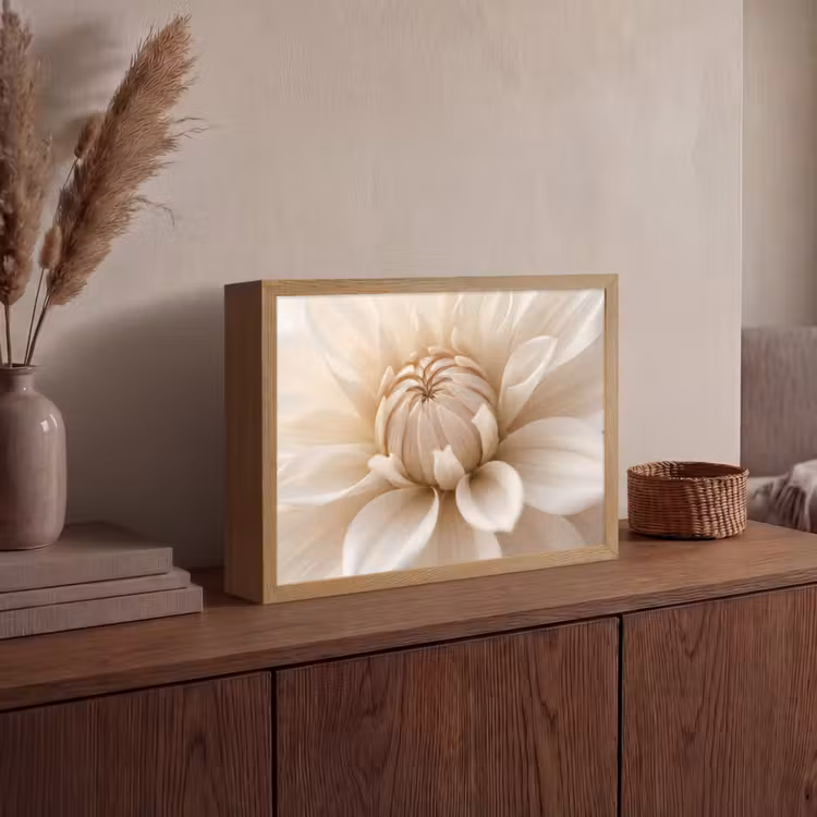 Lightbox - Wandlamp - Bloem - Dahlia - Wit — 4