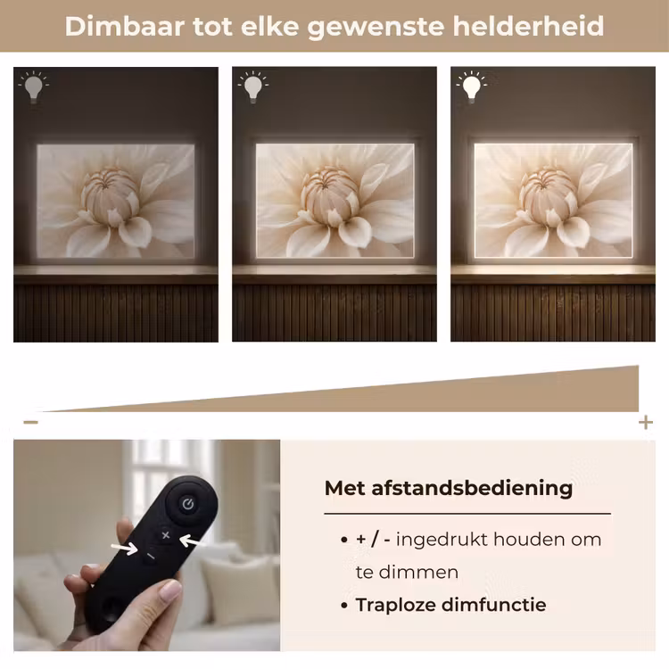 Lightbox - Wandlamp - Bloem - Dahlia - Wit — 9