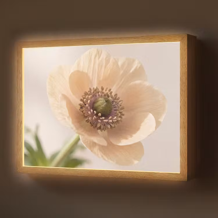 Lightbox - Wandlamp - Bloem - Minimalistisch - Groen — 1