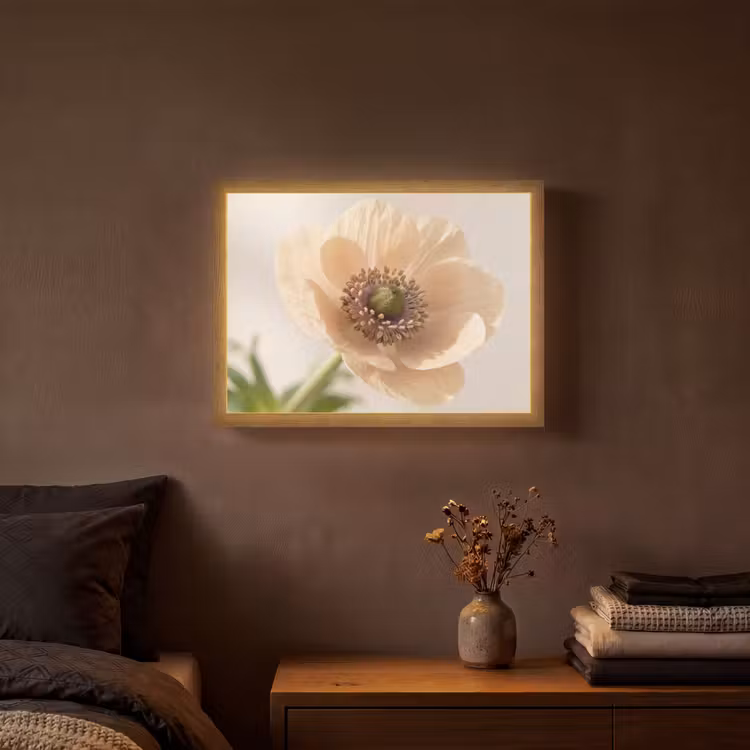 Lightbox - Wandlamp - Bloem - Minimalistisch - Groen — 3