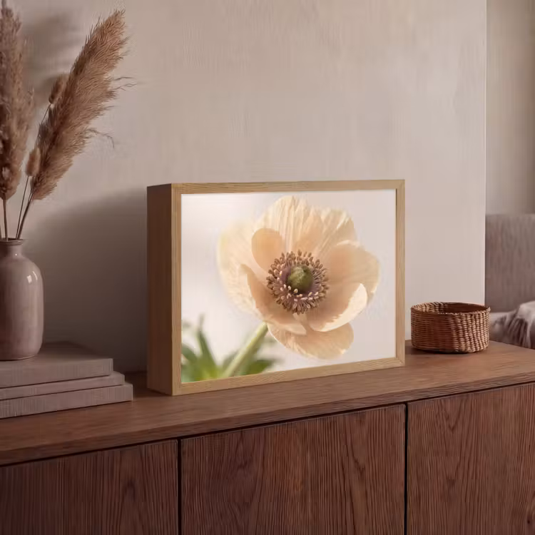 Lightbox - Wandlamp - Bloem - Minimalistisch - Groen — 4