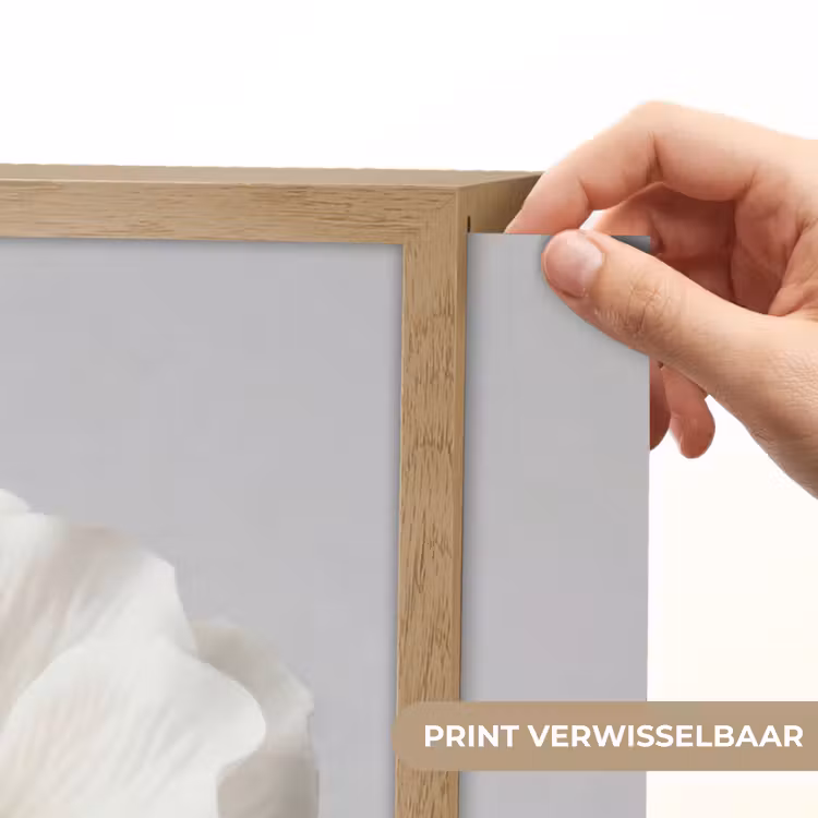 Lightbox - Wandlamp - Bloem - Minimalistisch -Wit — 5