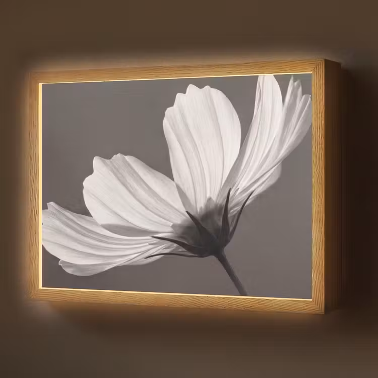 Lightbox - Wandlamp - Bloem - Minimalistisch - Zwart - Wit — 1