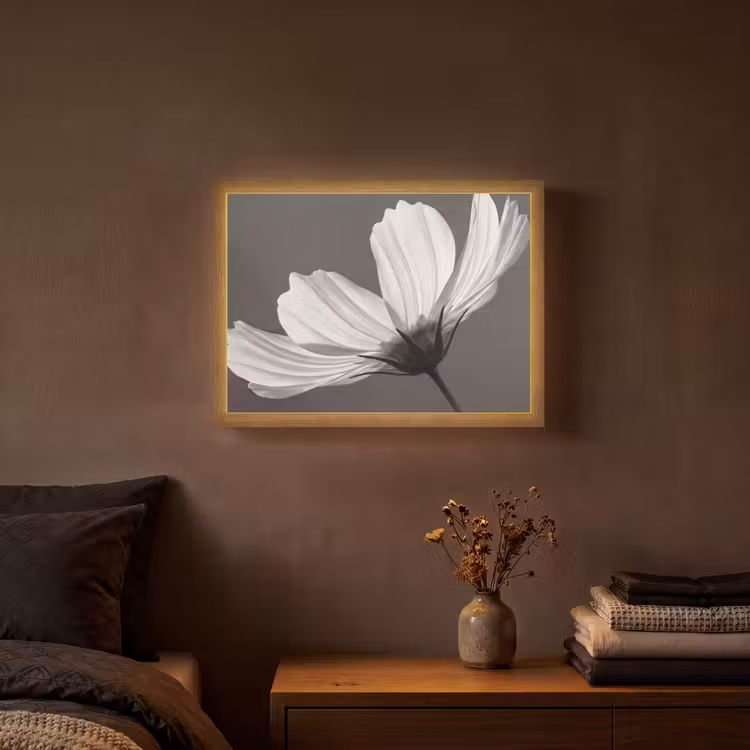 Lightbox - Wandlamp - Bloem - Minimalistisch - Zwart - Wit — 3