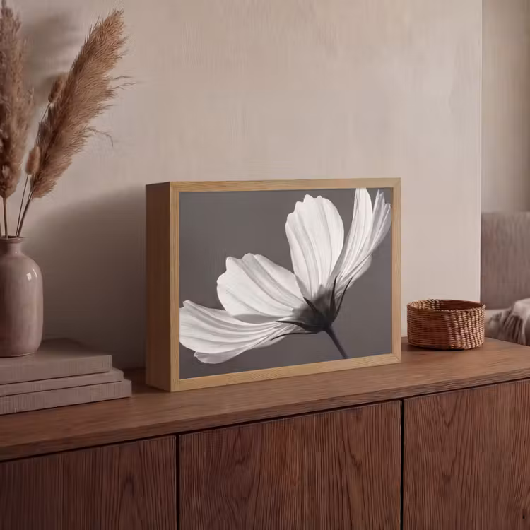 Lightbox - Wandlamp - Bloem - Minimalistisch - Zwart - Wit — 4