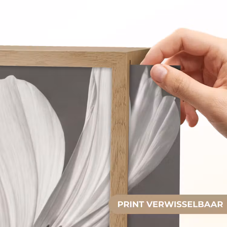 Lightbox - Wandlamp - Bloem - Minimalistisch - Zwart - Wit — 5