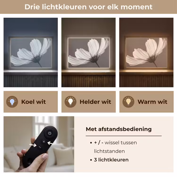 Lightbox - Wandlamp - Bloem - Minimalistisch - Zwart - Wit — 8