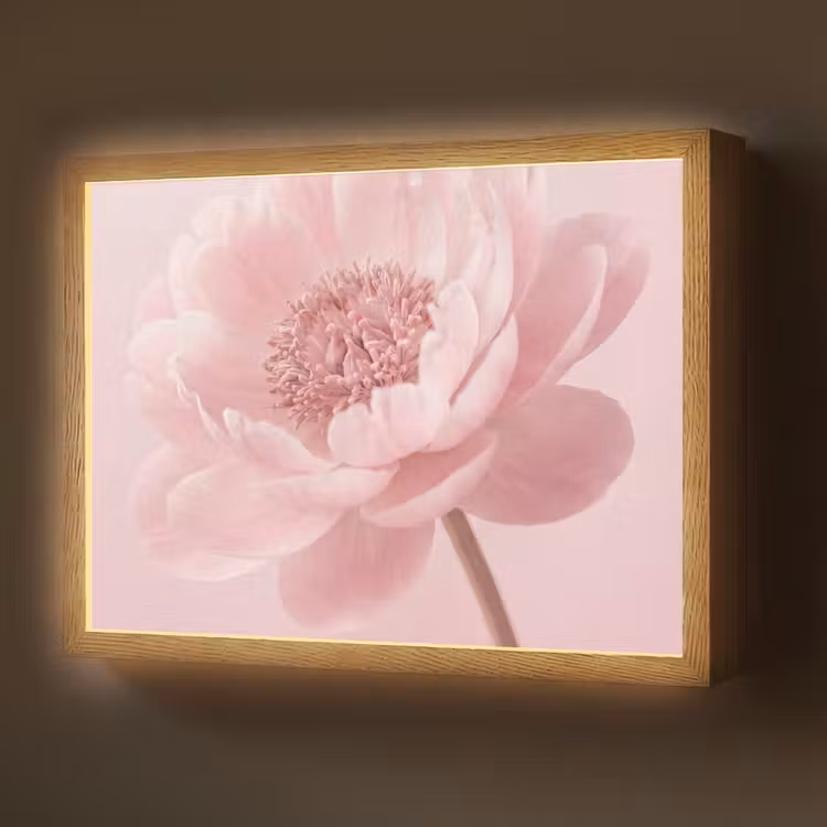 Lightbox - Wandlamp - Bloem - Pioenroos - Roze — 1