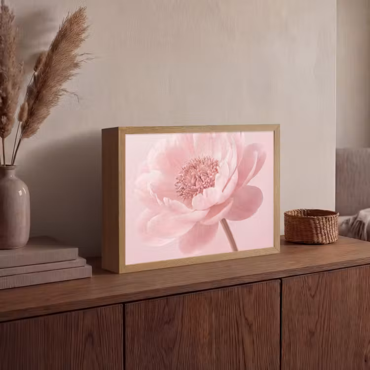 Lightbox - Wandlamp - Bloem - Pioenroos - Roze — 4
