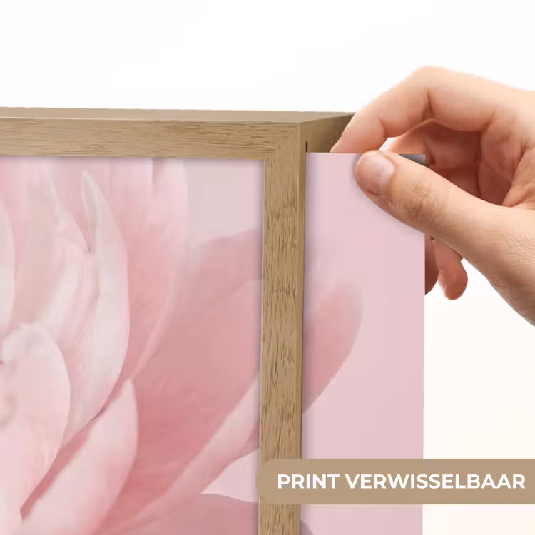 Lightbox - Wandlamp - Bloem - Pioenroos - Roze — 5