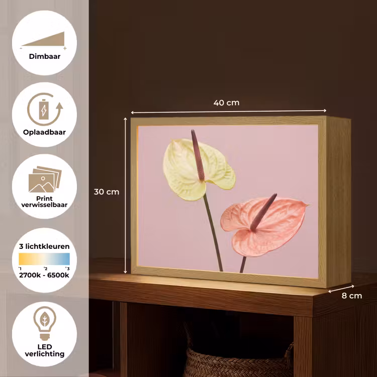 Lightbox - Wandlamp - Bloemen - Anthuriums - Geel - Roze — 10