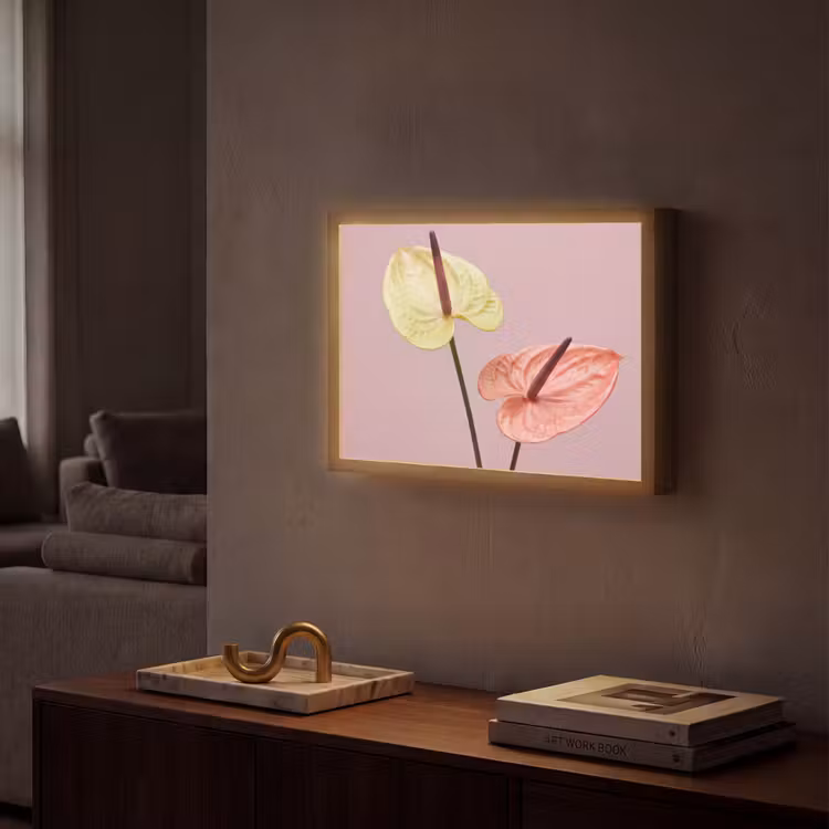 Lightbox - Wandlamp - Bloemen - Anthuriums - Geel - Roze — 2