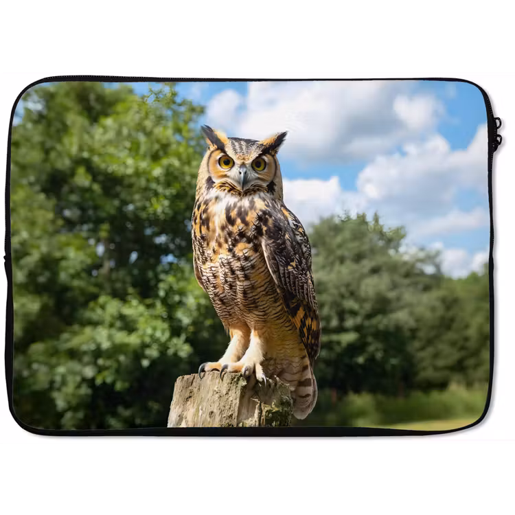 Laptophoes - Uil - Boomstronk - Bos - Lucht — 1