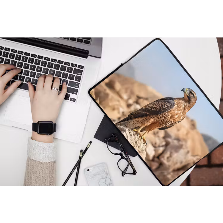 Laptophoes - Valk - Vogel - Rots - Macht — 3