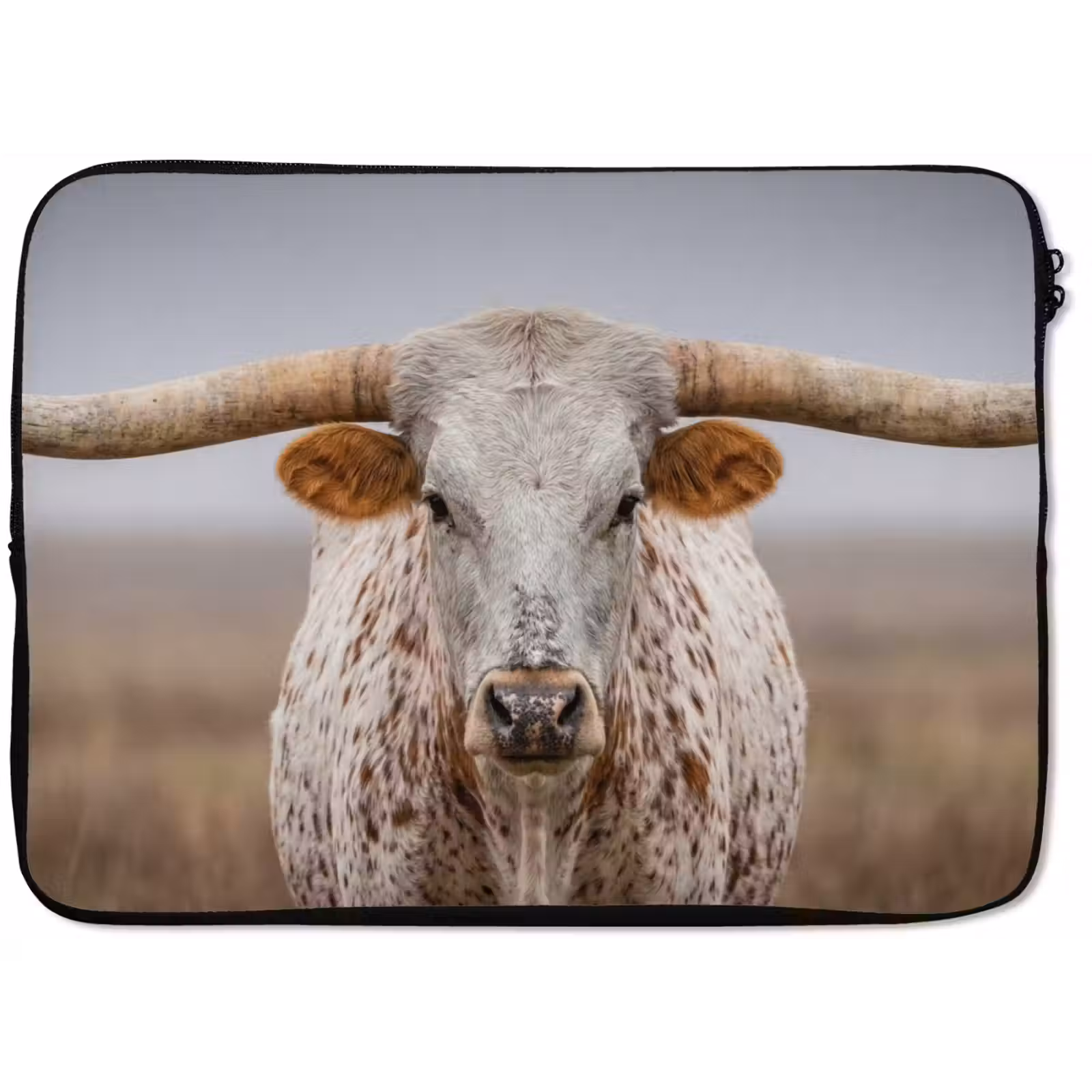 Laptophoes - Longhorn - Grasveld - Dier — 1