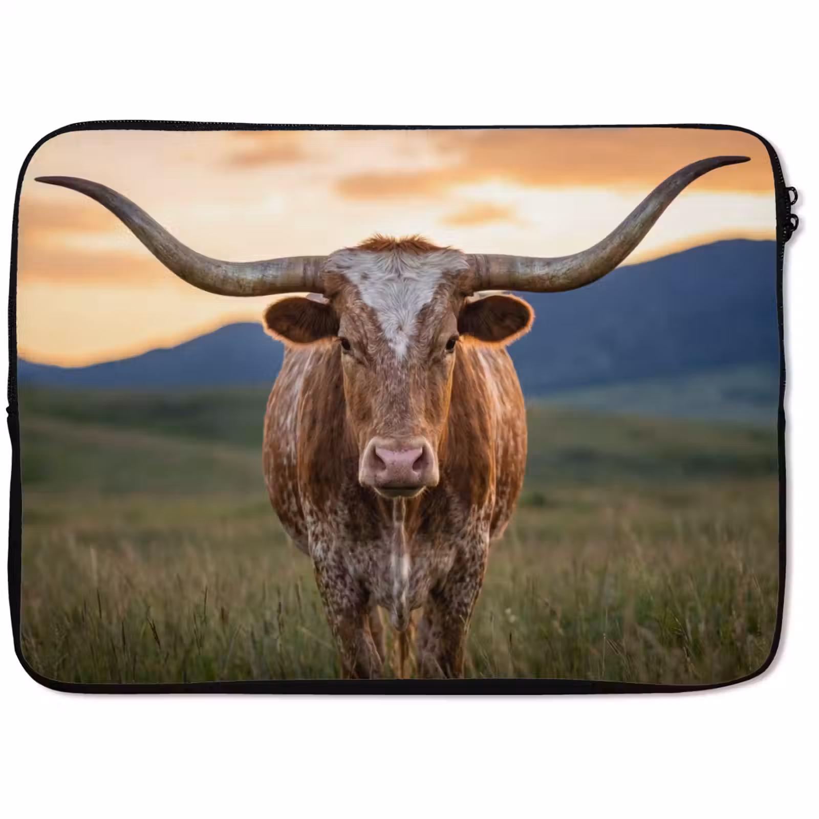 Laptophoes - Longhorn - Landschap - Zonsondergang — 1