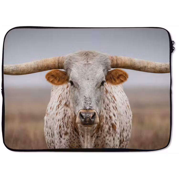 Laptophoes - Longhorn - Grasveld - Dier — 1