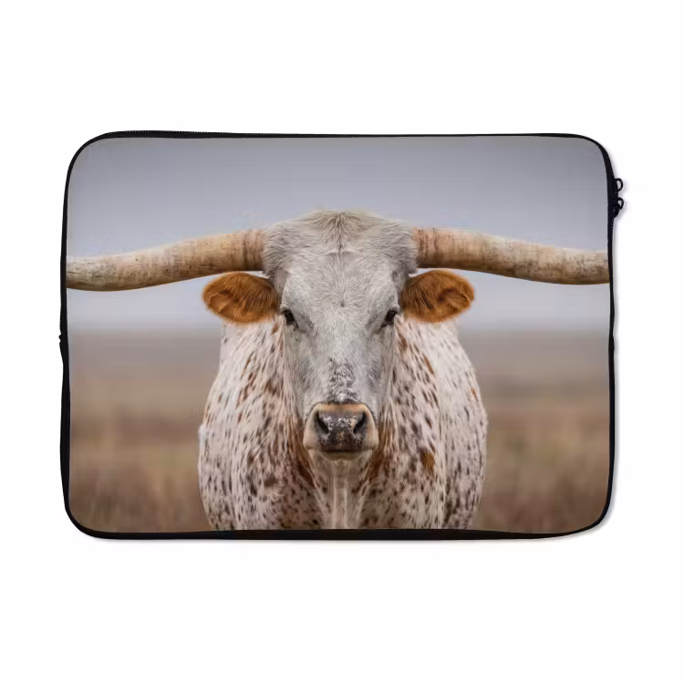Laptophoes - Longhorn - Grasveld - Dier — 5