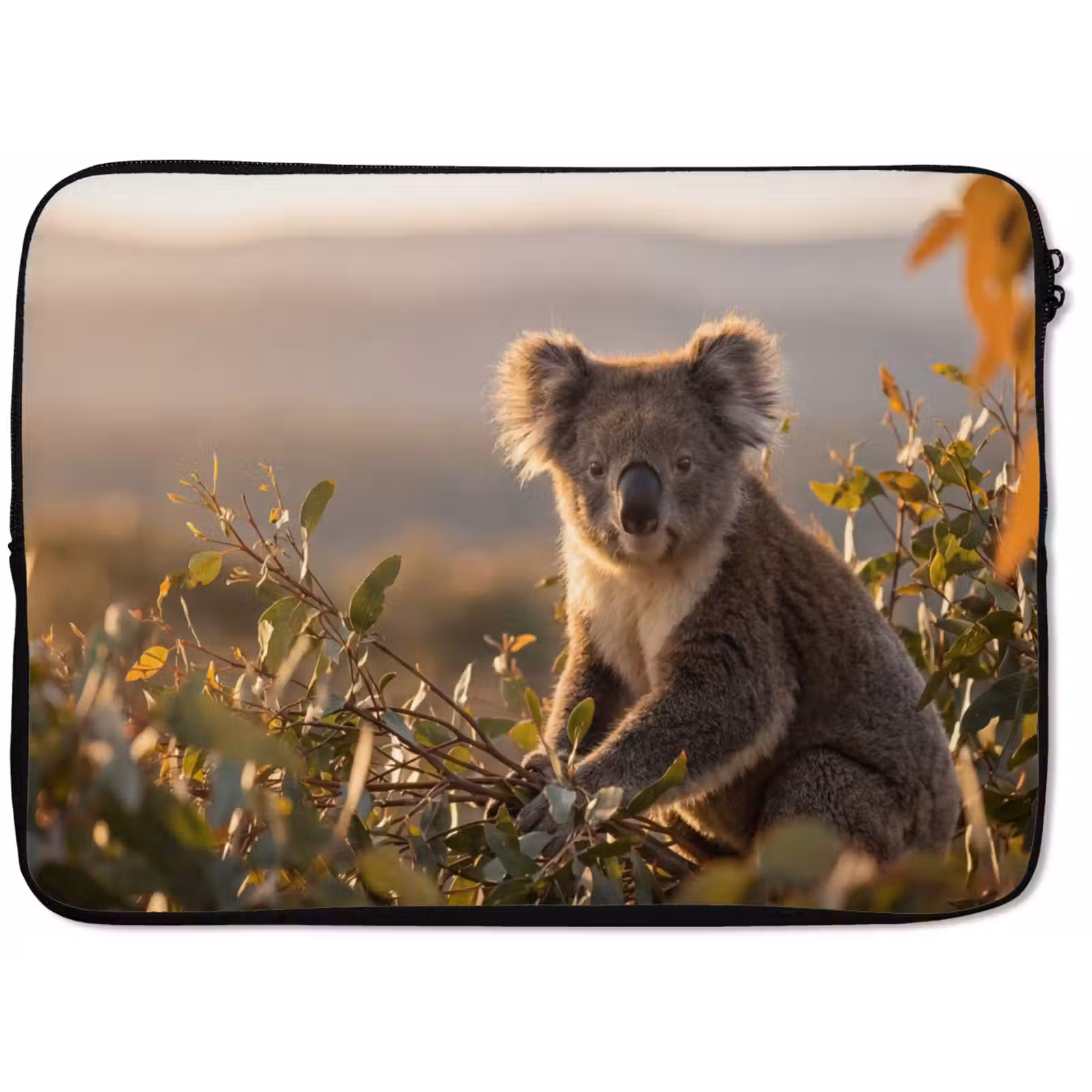 Laptophoes - Koala - Bladeren - Ochtendlicht — 1
